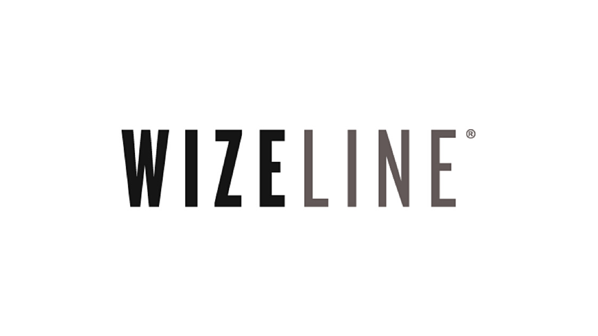 Wizeline2